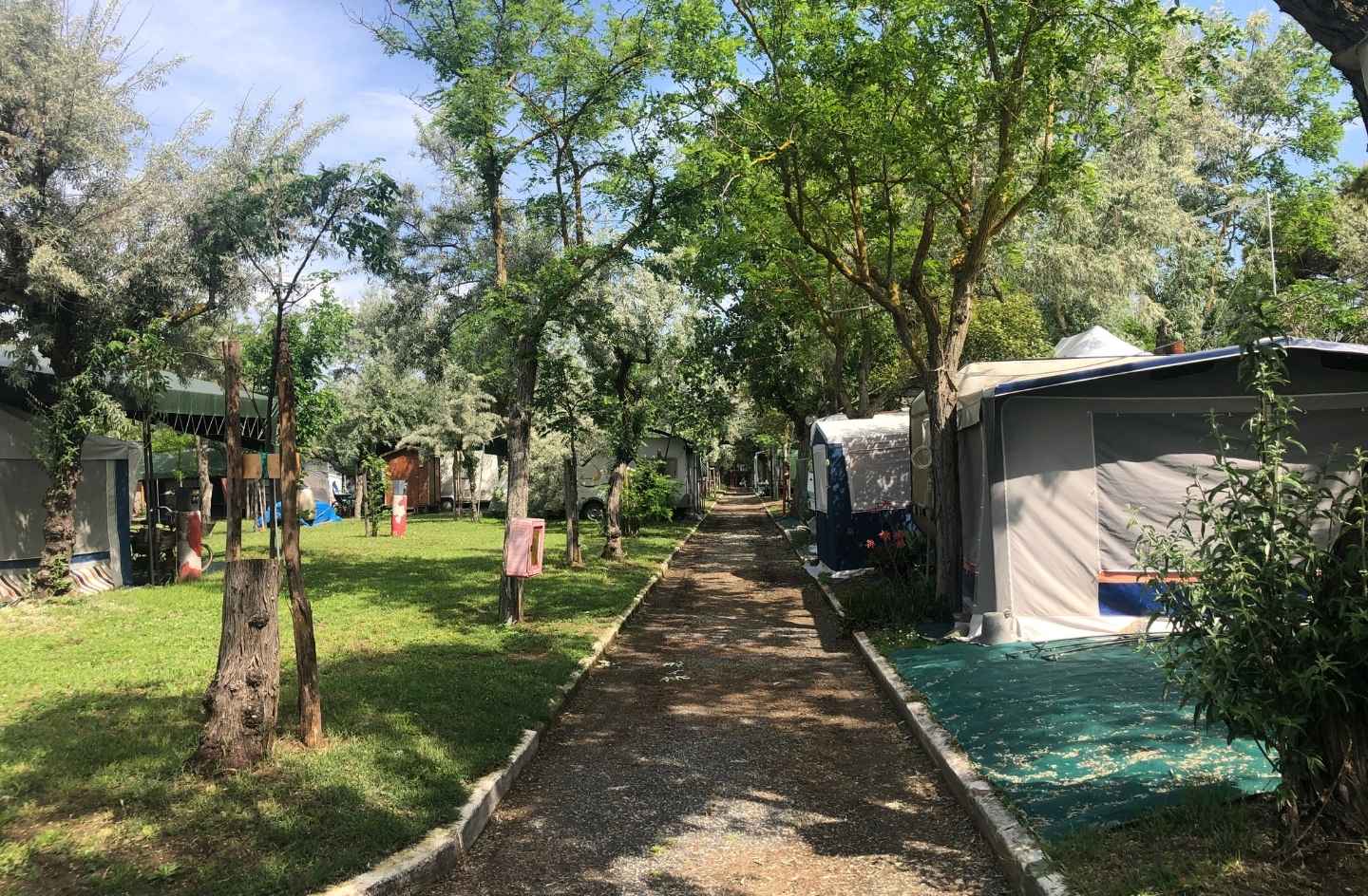 Piper Camping (8)